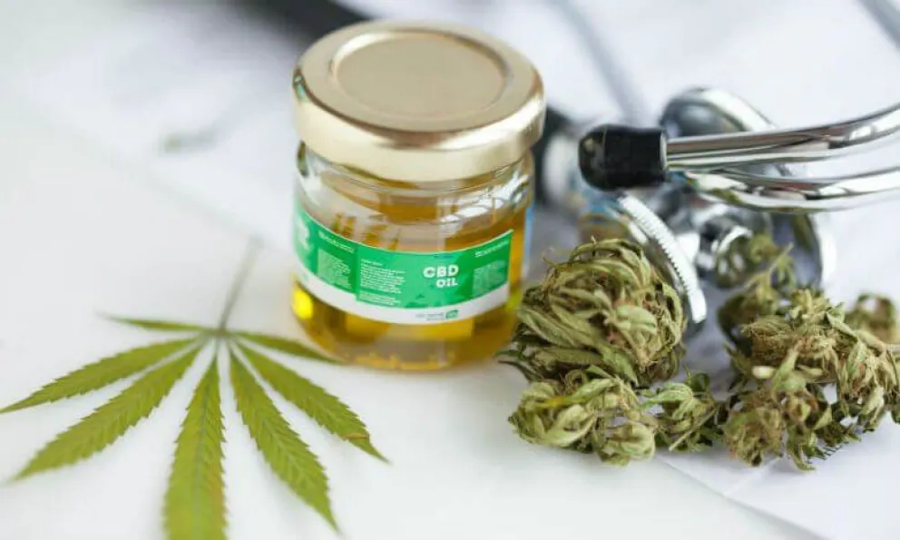 Revocaron el fallo que autoriza el autocultivo de cannabis medicinal