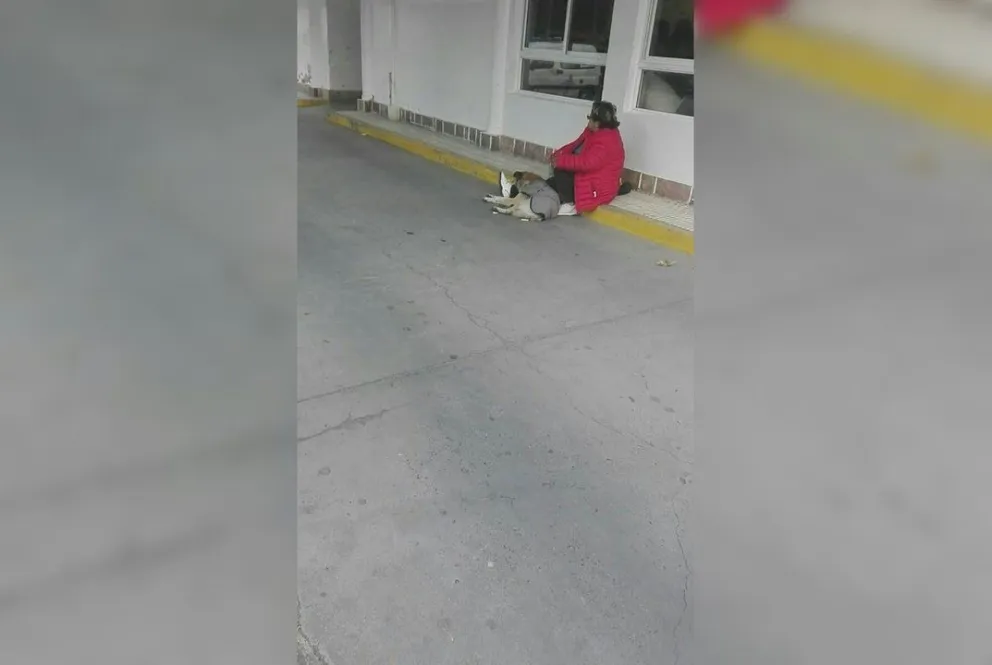 El perrito que derrocha amor en el Hospital San Bernardo