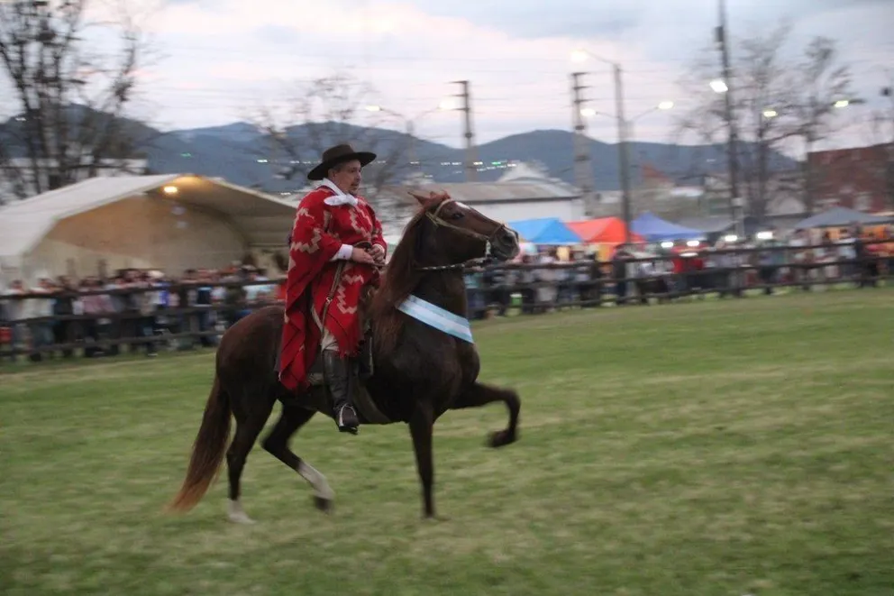 Salta se prepara para el 38° Concurso Nacional de Caballos Peruanos de Paso
