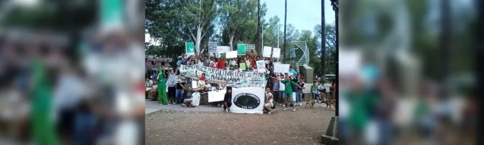 Marcha Mundial por la Marihuana: los salteños también se sumaron