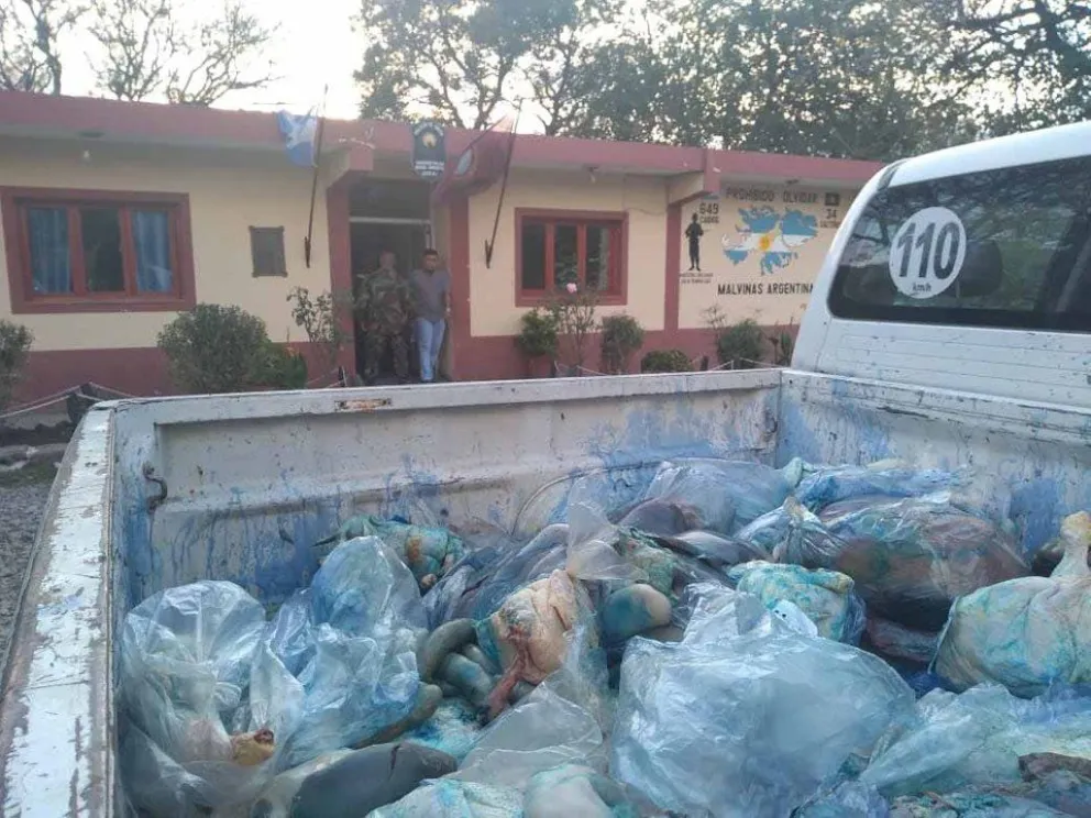 Salta: intentaban vender carne no apta para el consumo humano