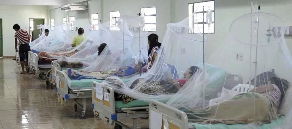 Confirmaron 358 casos de dengue y una gran cantidad de personas con fiebre