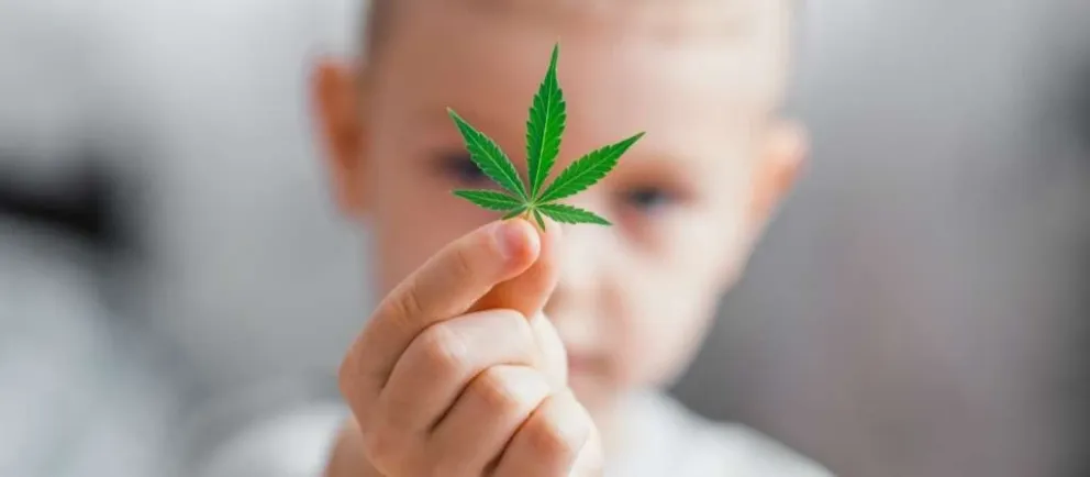 Cannabis medicinal: un salteñito lo necesita y la Cámara Federal se niega. ¿Por qué?