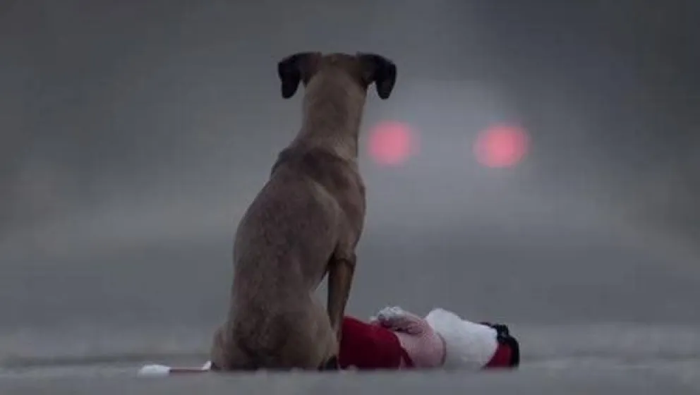 VIDEO. Crueldad humana: arrastró a su perro hasta matarlo