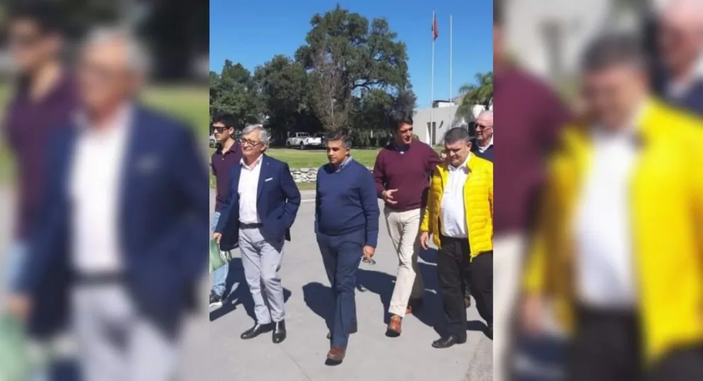 Así estamos: tres tristes tigres herbívoros
