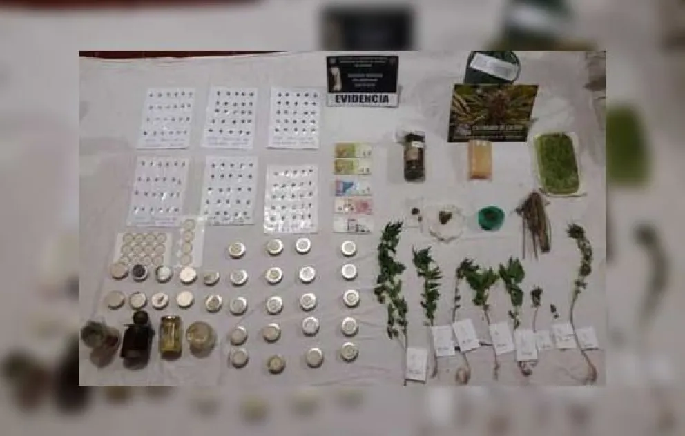 Tremendo allanamiento: se elaboraban productos a base de marihuana