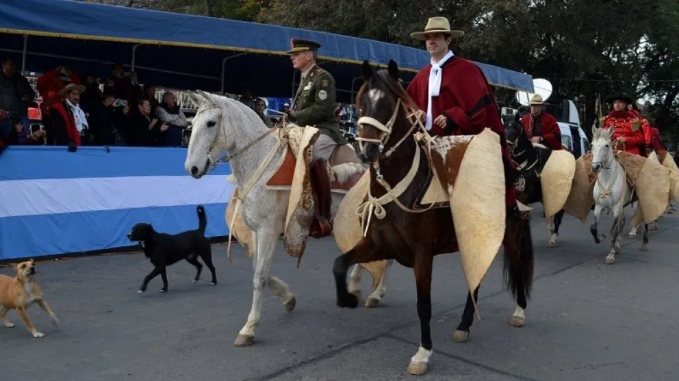 Polémica: ¿no habrá caballos en los próximos desfiles?