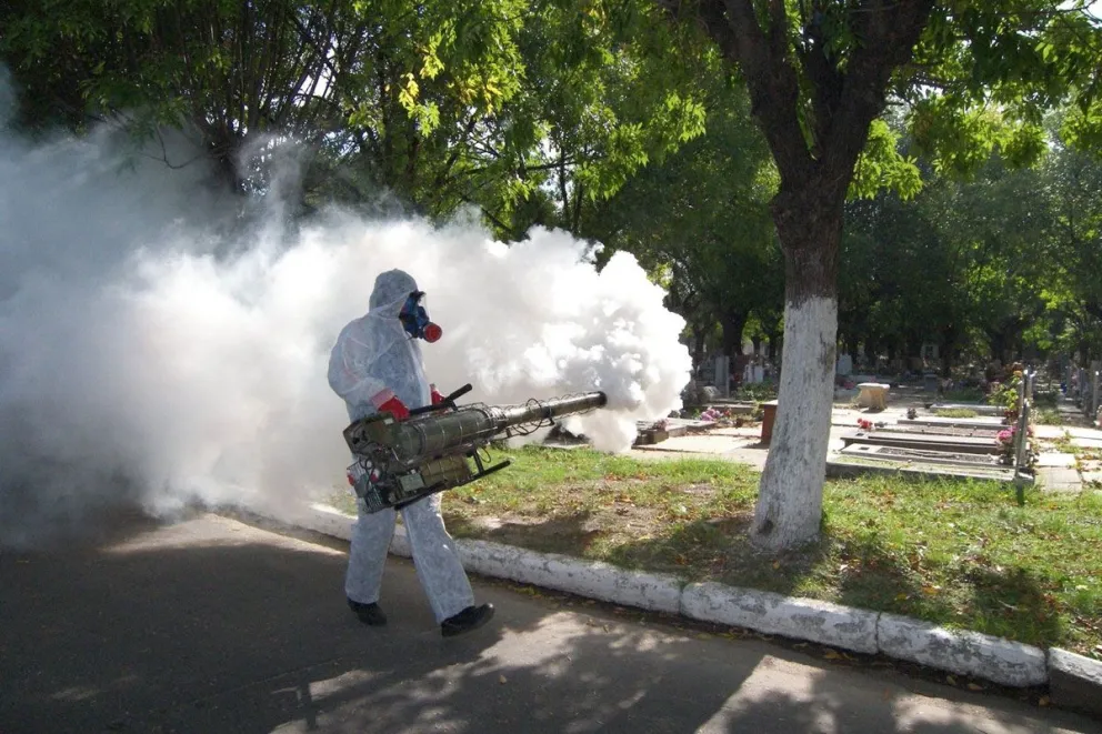 Grave noticia: suspenden la campaña contra el mal de chagas en Salta