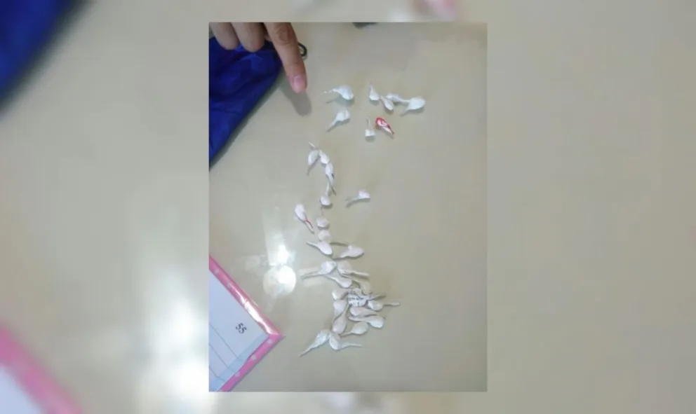 Escándalo: encontraron a una alumna con una cantidad impresionante de droga