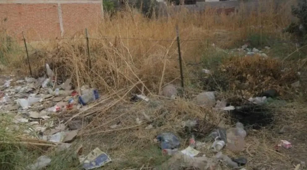 Aberrante: entraron a robar, secuestraron a una adolescente y la violaron en un baldío