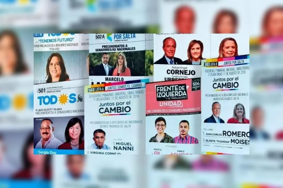 El kirchnerismo arrasa en Salta en la categoría senadores y diputados nacionales