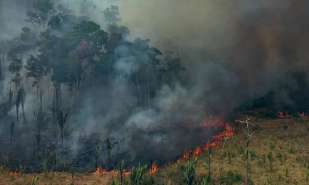 El humo de los incendios del Amazonas llegó al norte argentino