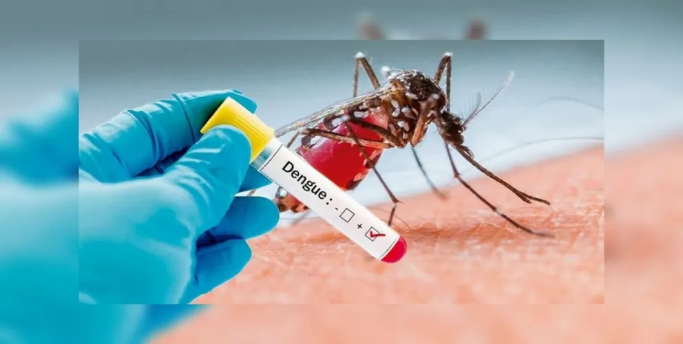 Alerta: ¿vuelve el dengue a la provincia?