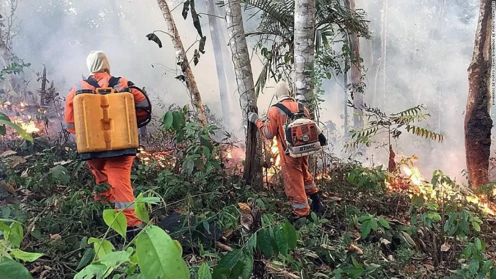 Amazonas: Brasil rechazó la ayuda del G7 para sofocar el incendio