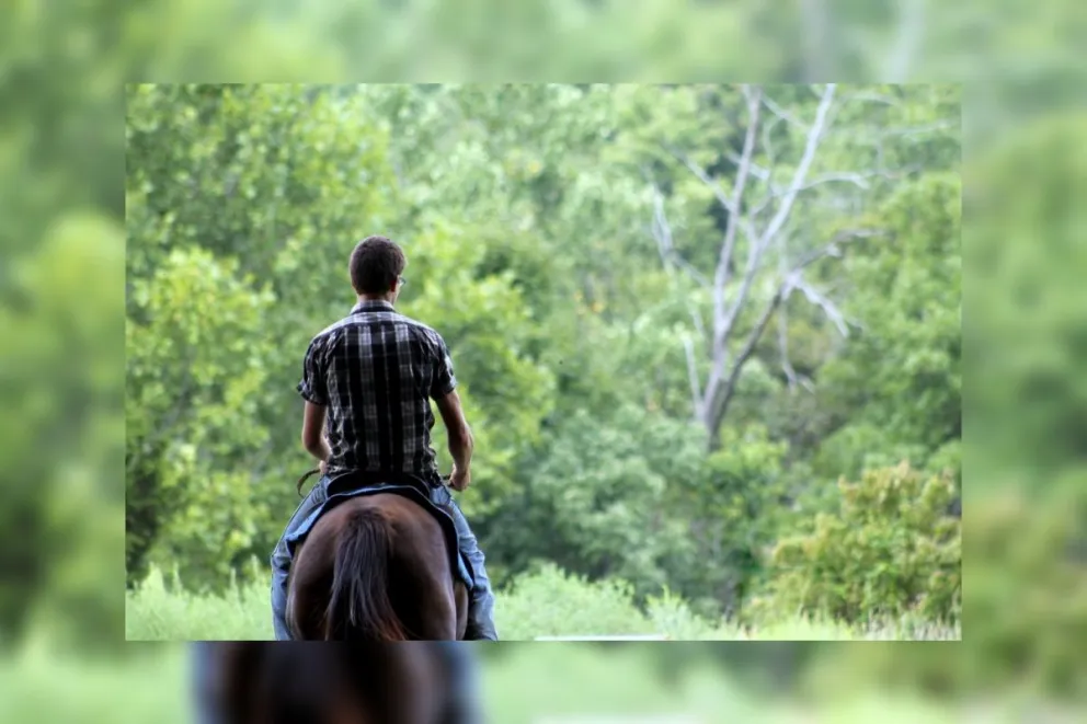 VIDEO. Insólito: ladrones escapan a caballo
