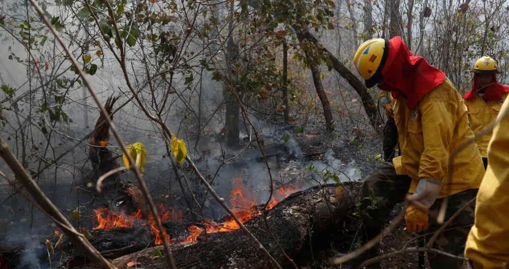 Buenas noticias: Bolivia pudo extinguir la mayor parte del fuego