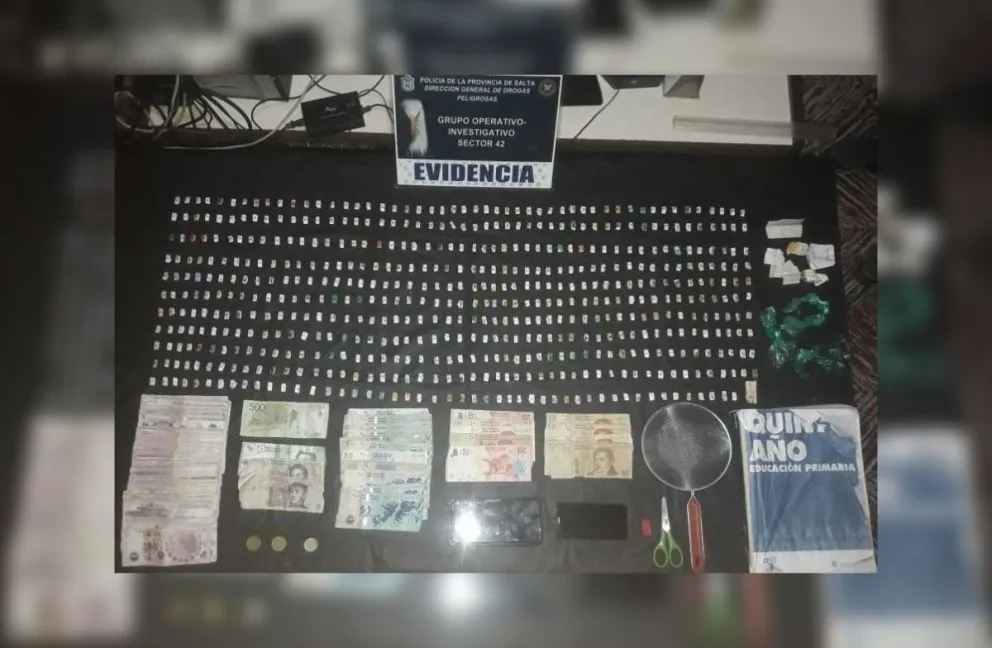 Golpe al narcotráfico: hay nueve salteños detenidos