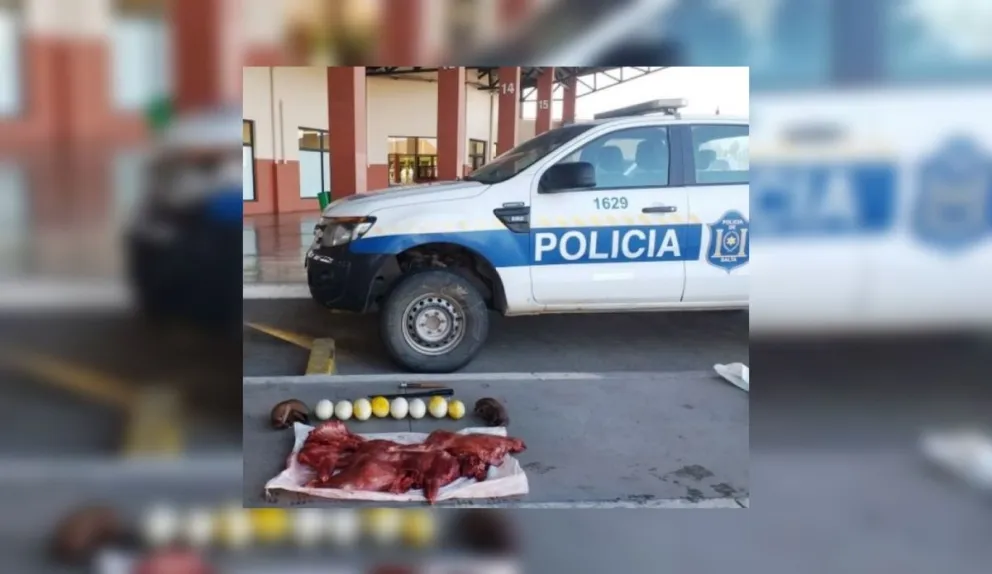Desalmados: robaron los huevos de un ñandú y los detuvieron