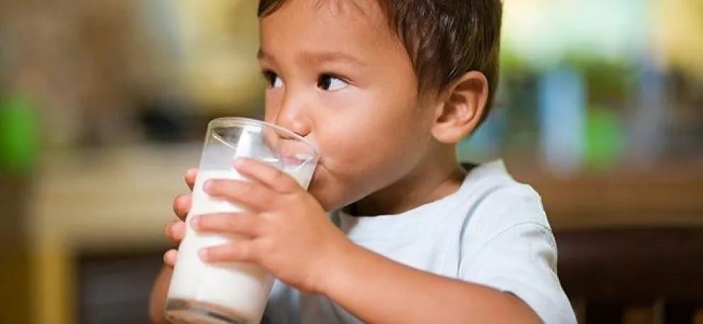 Importante: la ANMAT prohibió una leche en polvo