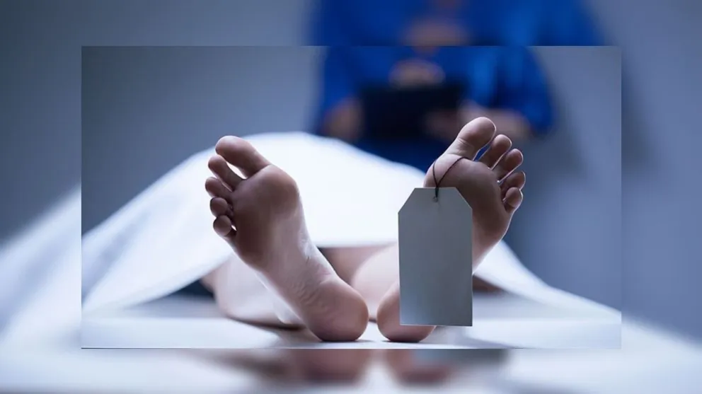 Lunes negro: encontraron una salteña muerta