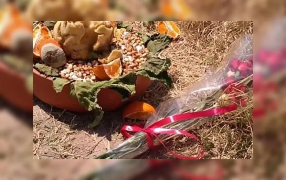 ¡Para morirse del susto!: encontró un gualicho en pleno paseo