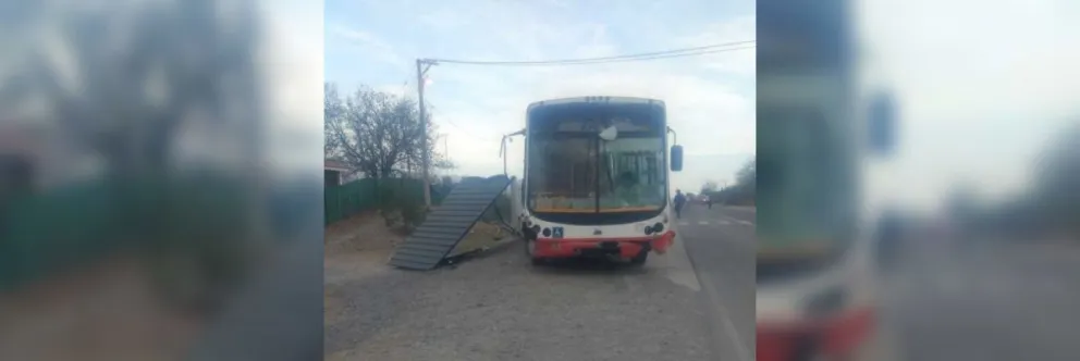 Viernes negro: una salteña murió tras ser embestida por un colectivo