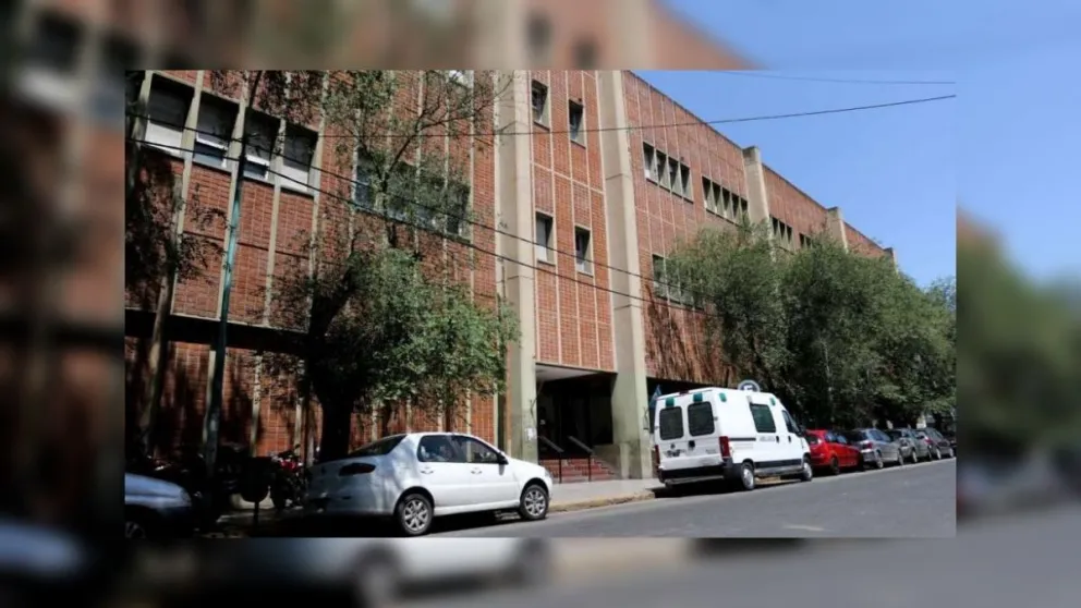 Horror: tres pitbulls desfiguraron la cara de una nena