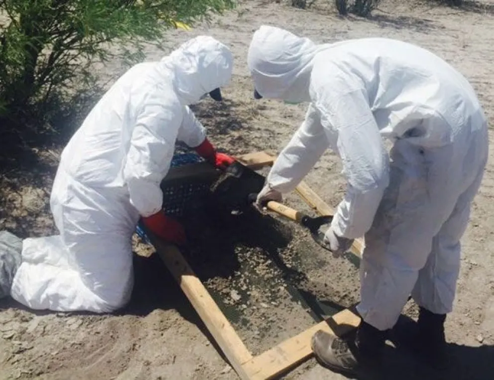 Macabro hallazgo: encontraron el cuerpo de una recién nacida en el patio de una casa