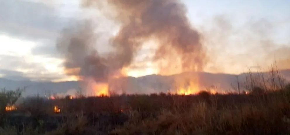 Desesperación: gran incendio en cercanías al Aeropuerto Martín Miguel de Güemes
