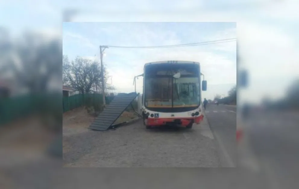 Ahora: detuvieron al chofer de un colectivo por matar a una mujer