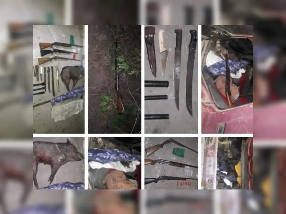 Metán: encontraron un arsenal de armas de cazadores furtivos