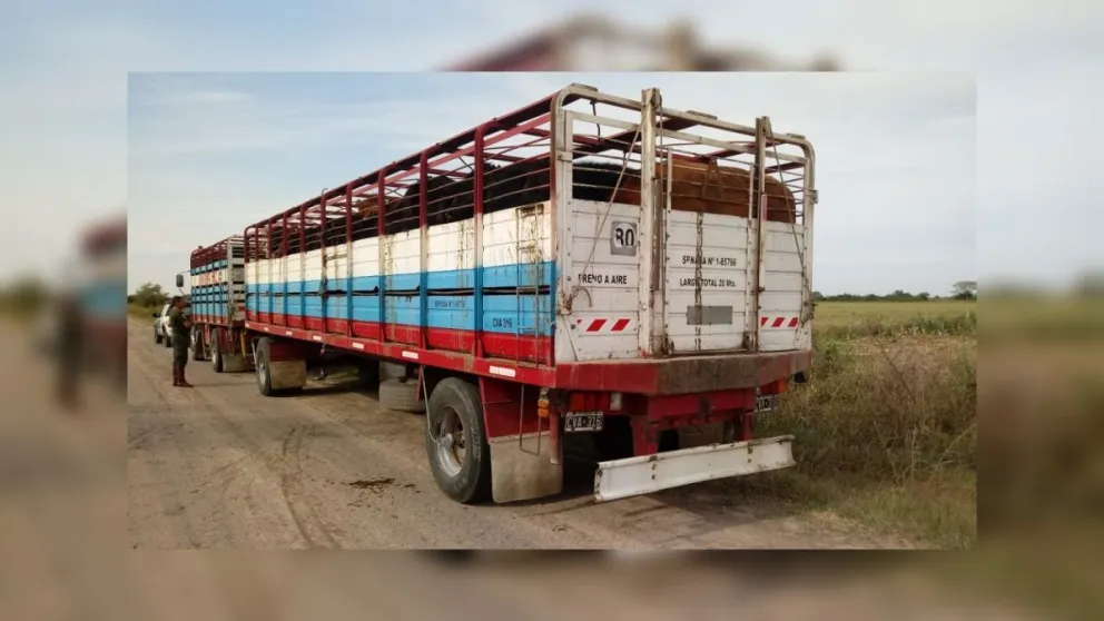 Atención productores salteños: ya se puede tramitar el DUT