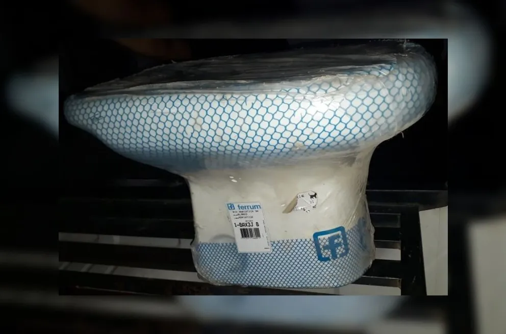 Salteño de 12 años roba inodoros: hasta las manos