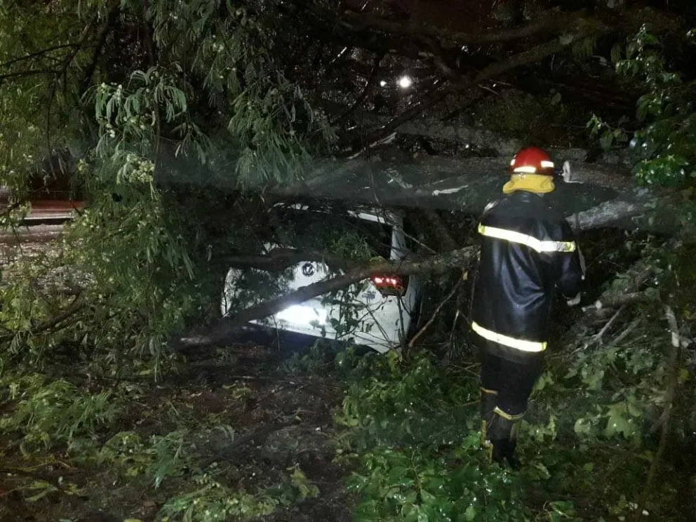 Salta: lo que la fuerte lluvia dejó
