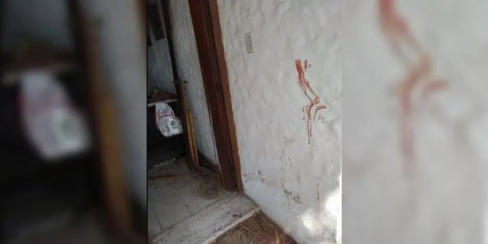 Violencia sin límites: atacó a mazazos a un juez porque le secuestró el auto por conducir alcoholizado