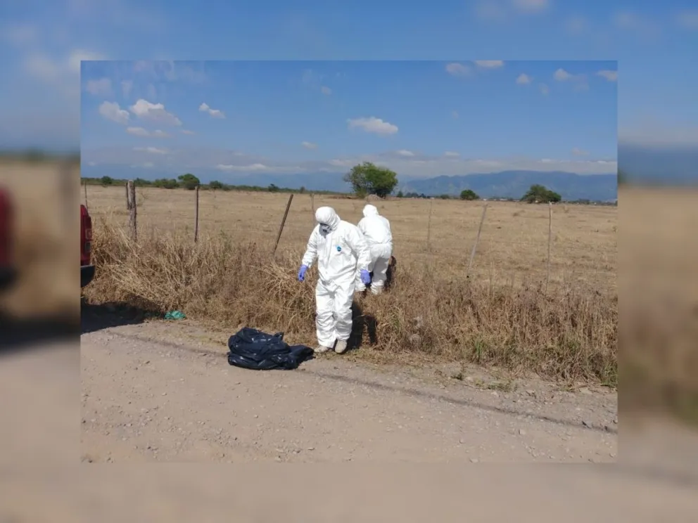 Preocupante: el veneno que se usó para la masacre de animales en San Luis está prohibido en Argentina