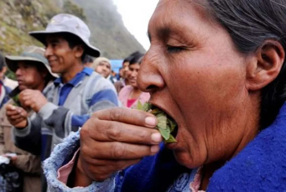 A romper el chanchito: el cuarto de coca se fue por las nubes