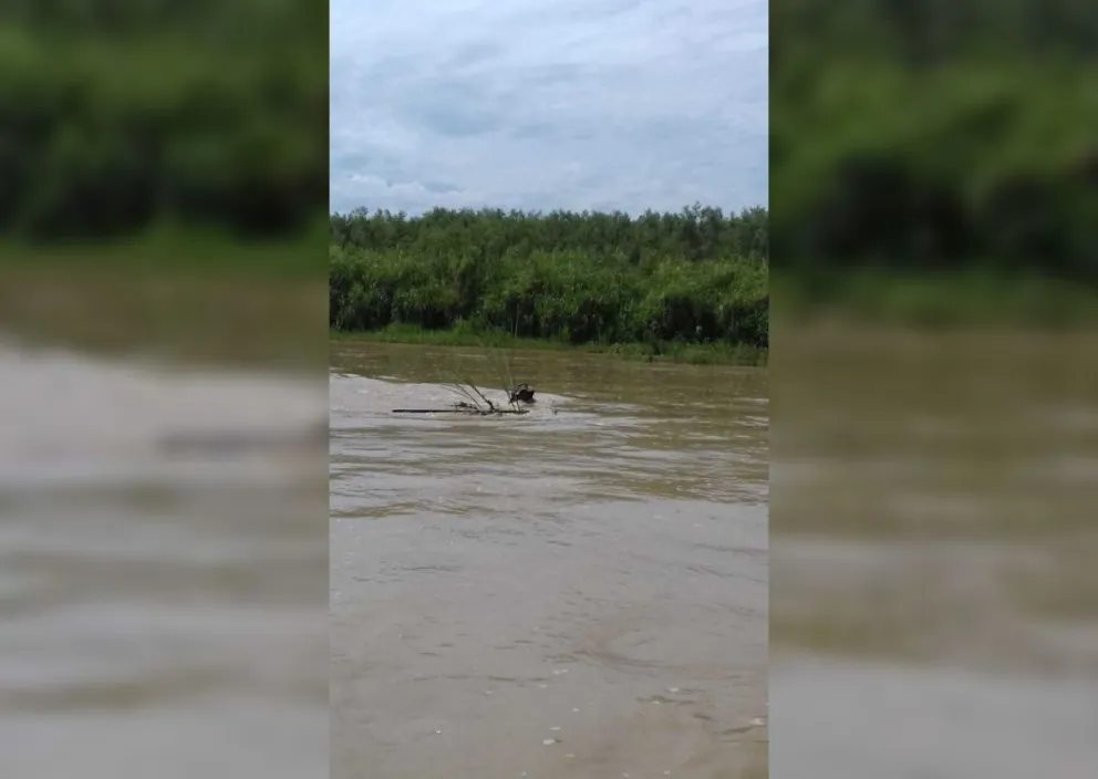 Profundo dolor: hallaron el cuerpo del joven que era buscado en el Río Bermejo