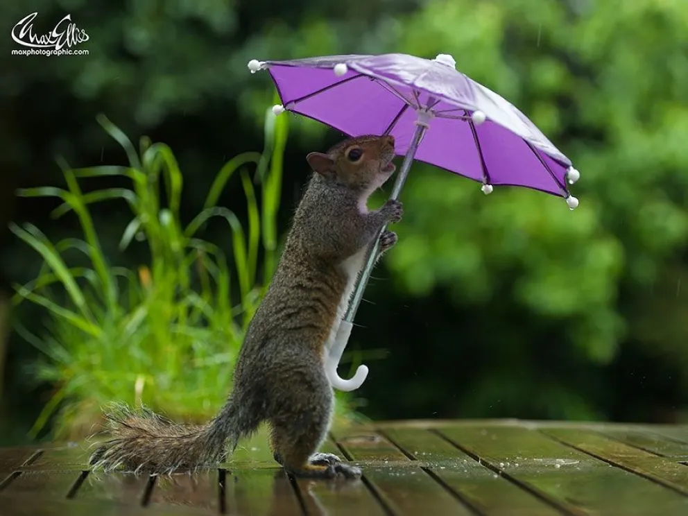 Pronóstico para Salta la Linda