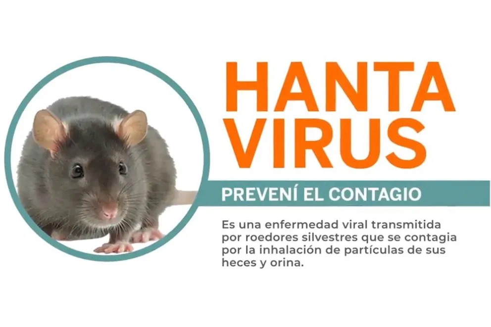 Hantavirus: no hay vacuna para esto. Te contamos las recomendaciones para evitar  esta enfermedad