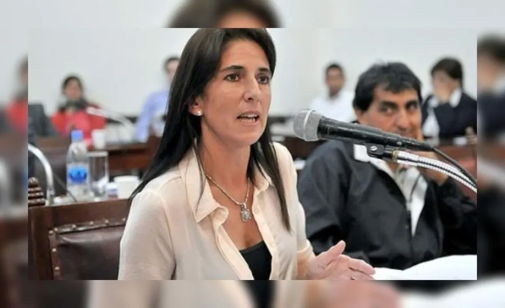 Socorro Villamayor: "La Ley de Ministerios se diferencia a la de los 12 años del gobernador saliente"