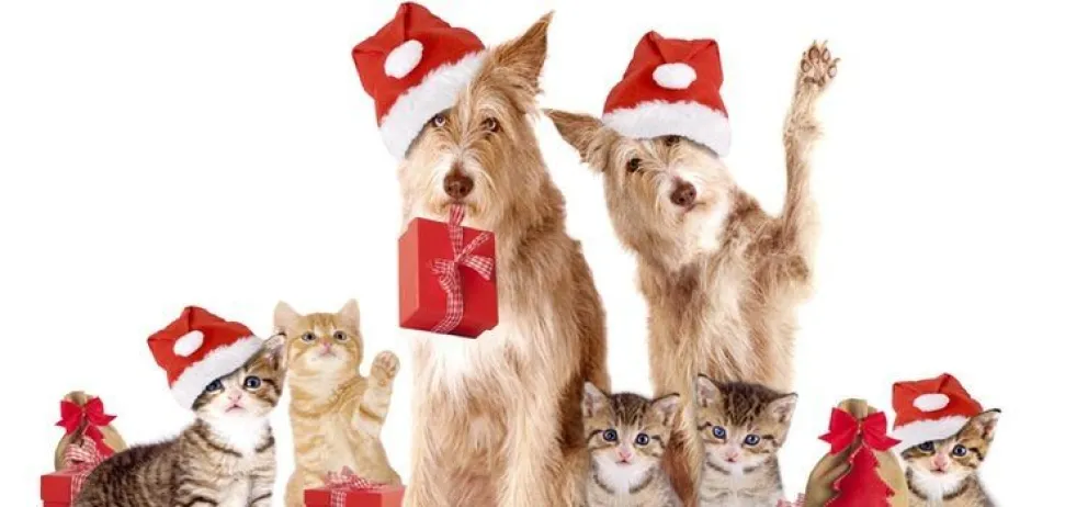 ¡Feliz Navidad! ¿Cómo estará el tiempo hoy?
