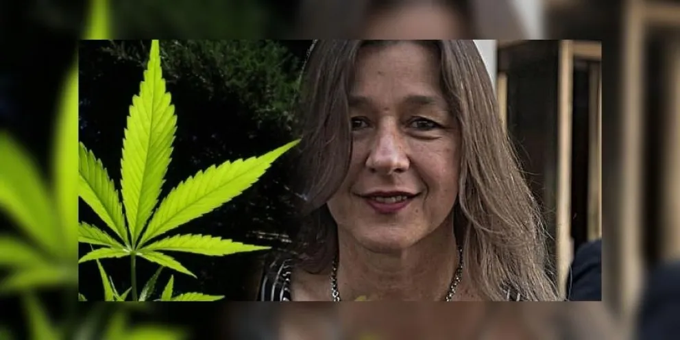 Cannabis: el Gobierno analiza regular el consumo en el país