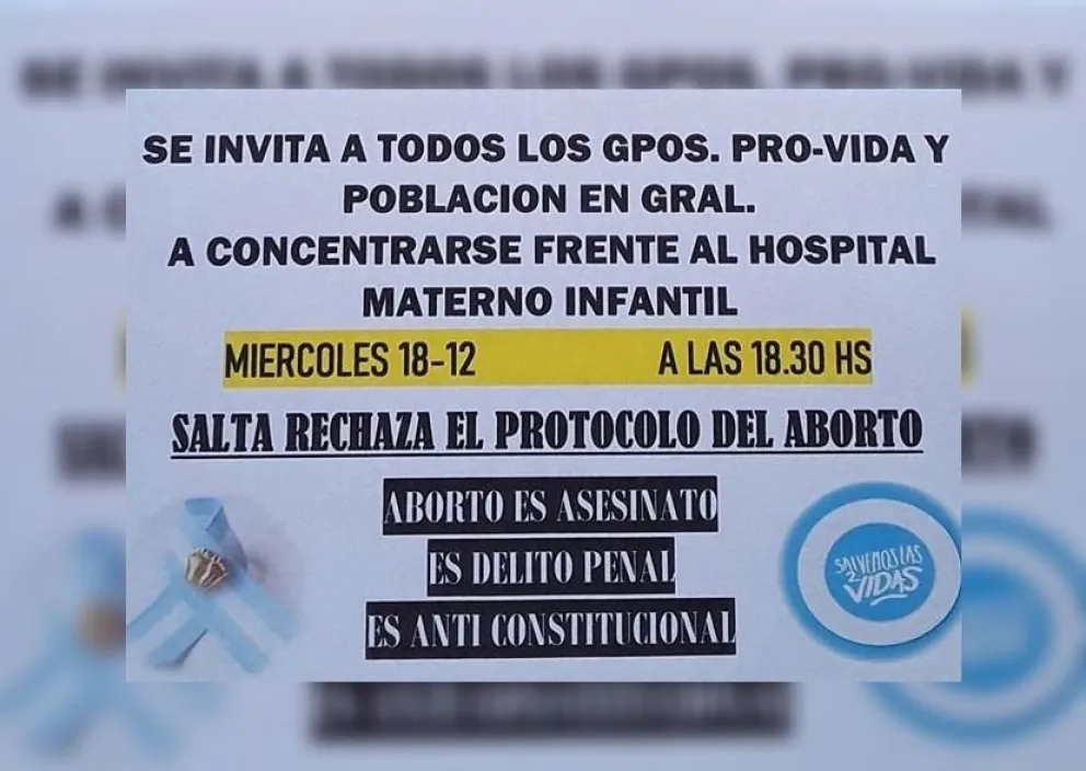 Convocatoria abierta: en Salta marcharán contra el nuevo protocolo de aborto