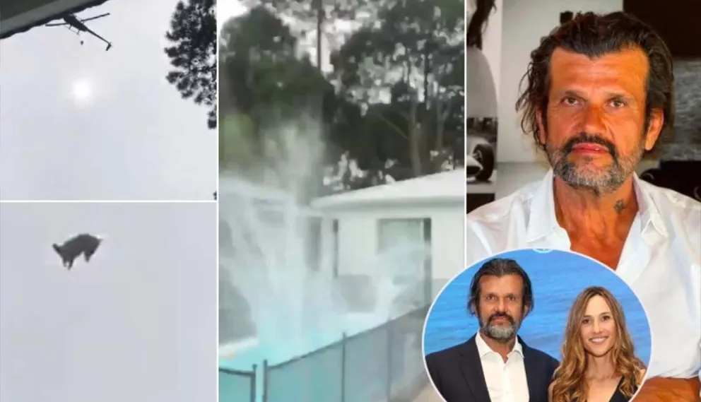 El final del chanchito tirado desde un helicóptero: lo sacaron de la pileta y lo asaron a la parilla