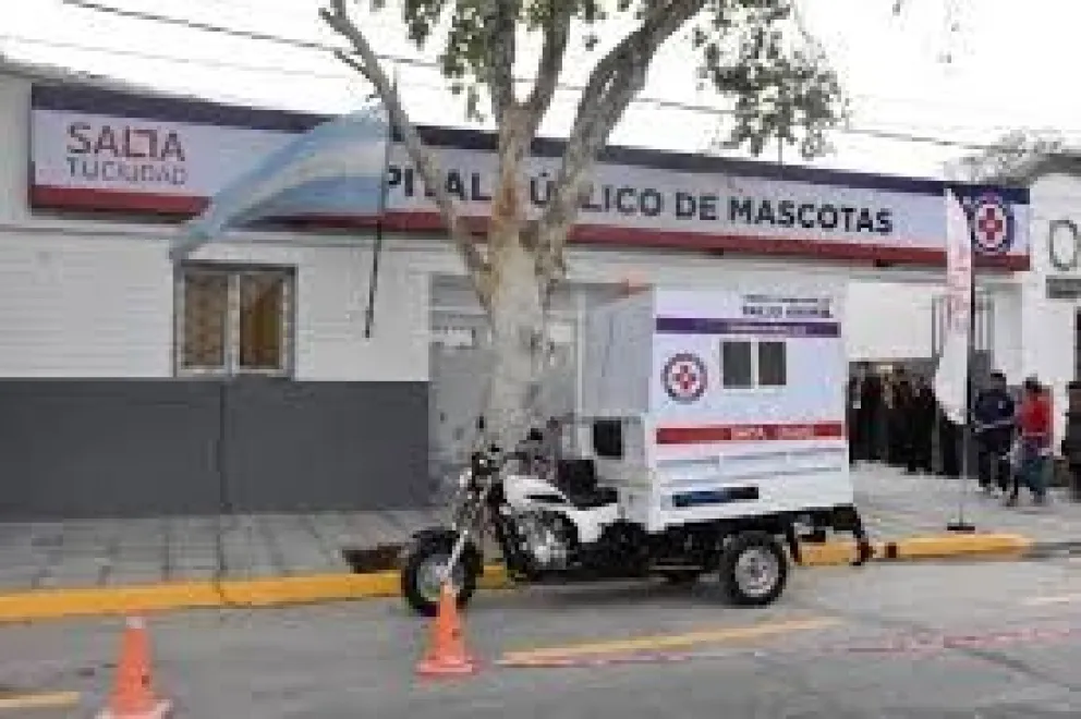 Nicolás Kripper comenta la decisión que se tomó respecto a los veterinarios del Hospital de Mascotas