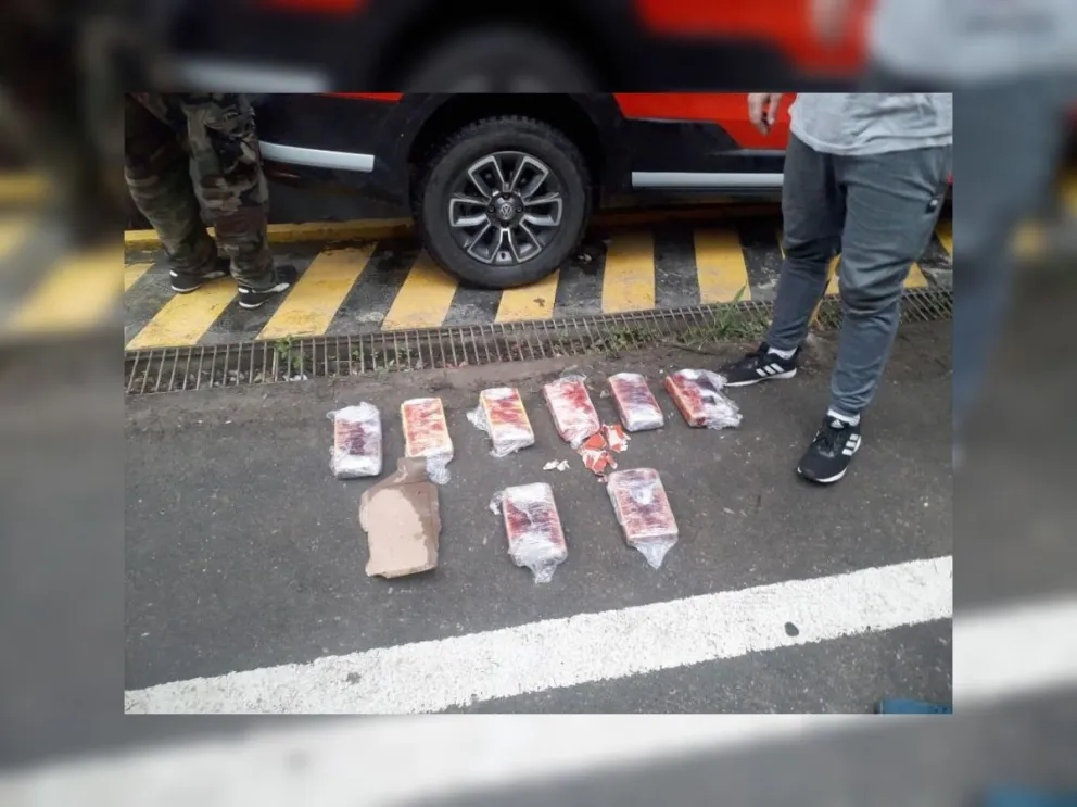 Orán: una perra anti droga mandó al frente a un hombre que traficaba