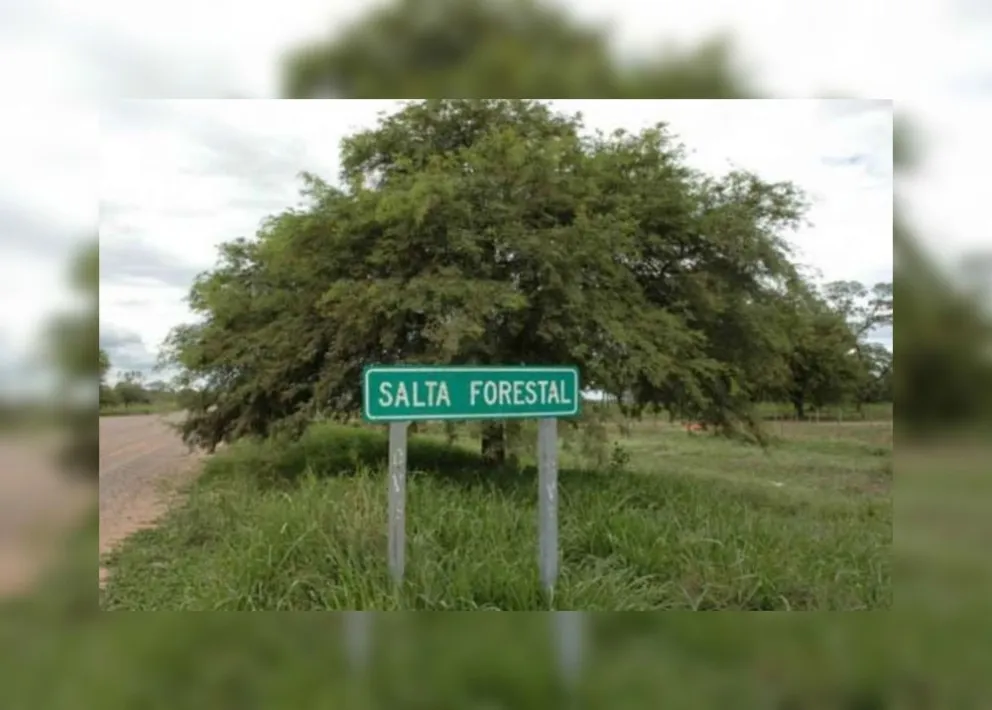 Macabro: en tan solo 12 días, tres jóvenes aparecieron muertos en el predio de Salta Forestal