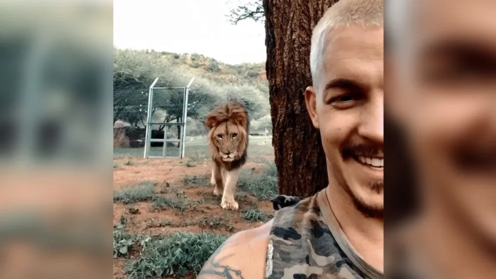 ¿Se salvó?: un hombre se estaba grabando así mismo, y ¡por detrás en posición de ataque un león!