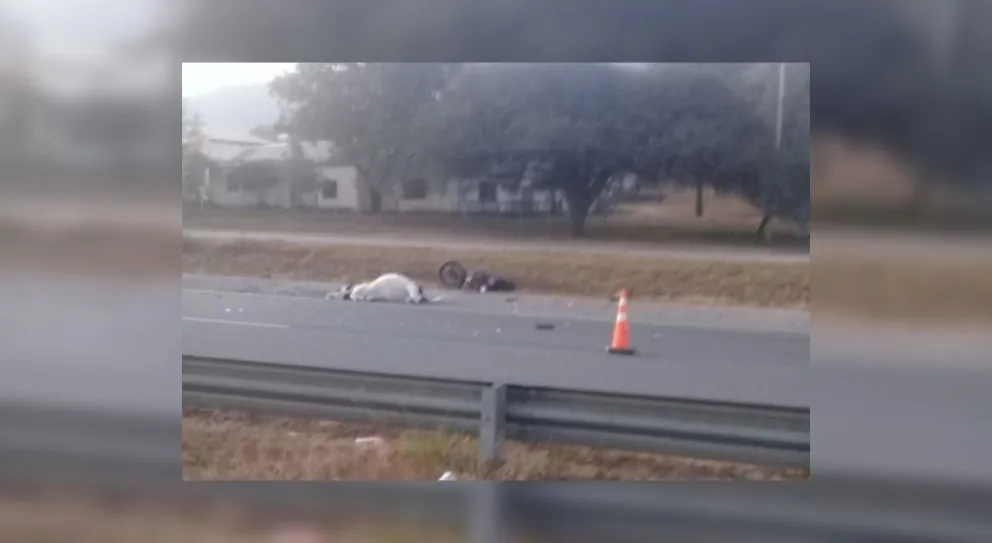 Tragedia: un salteño se estampó contra una vaca
